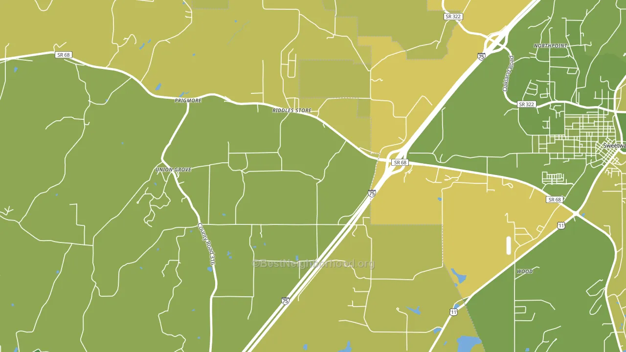 Riddles Store, TN block-group voter-turnout map
