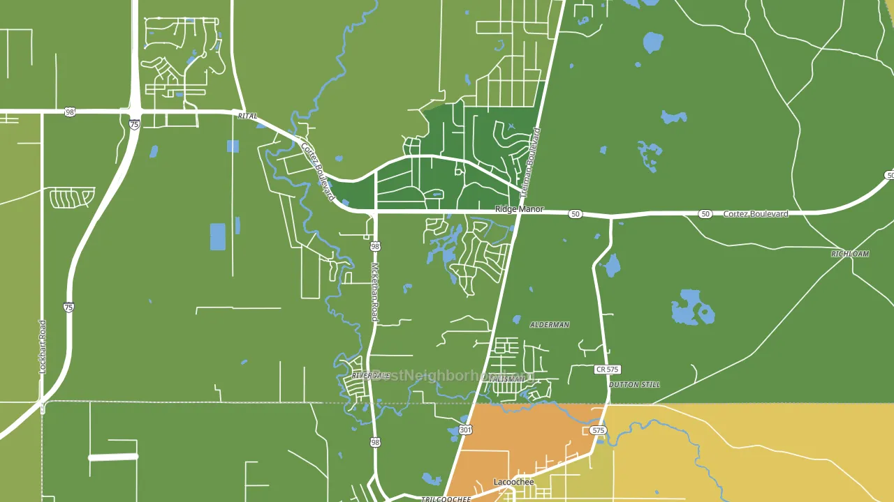 Ridge Manor, FL block-group voter-turnout map