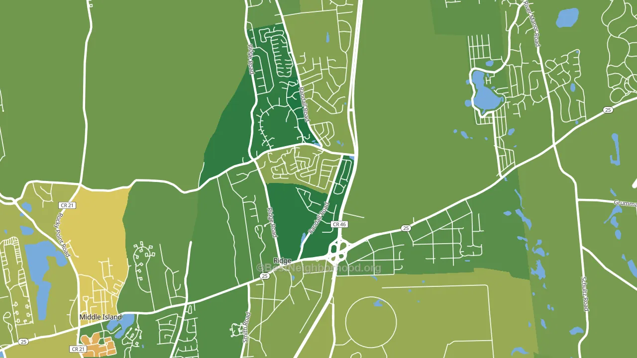 Ridge, NY block-group voter-turnout map
