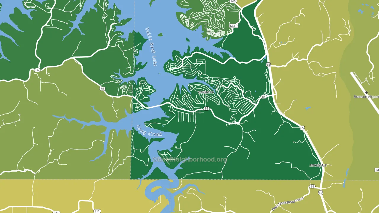 Ridgedale, MO block-group voter-turnout map