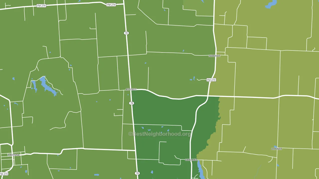 Ridings, TX block-group voter-turnout map