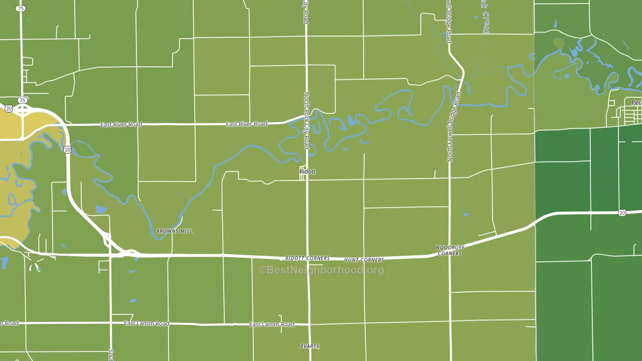Ridott, IL block-group voter-turnout map