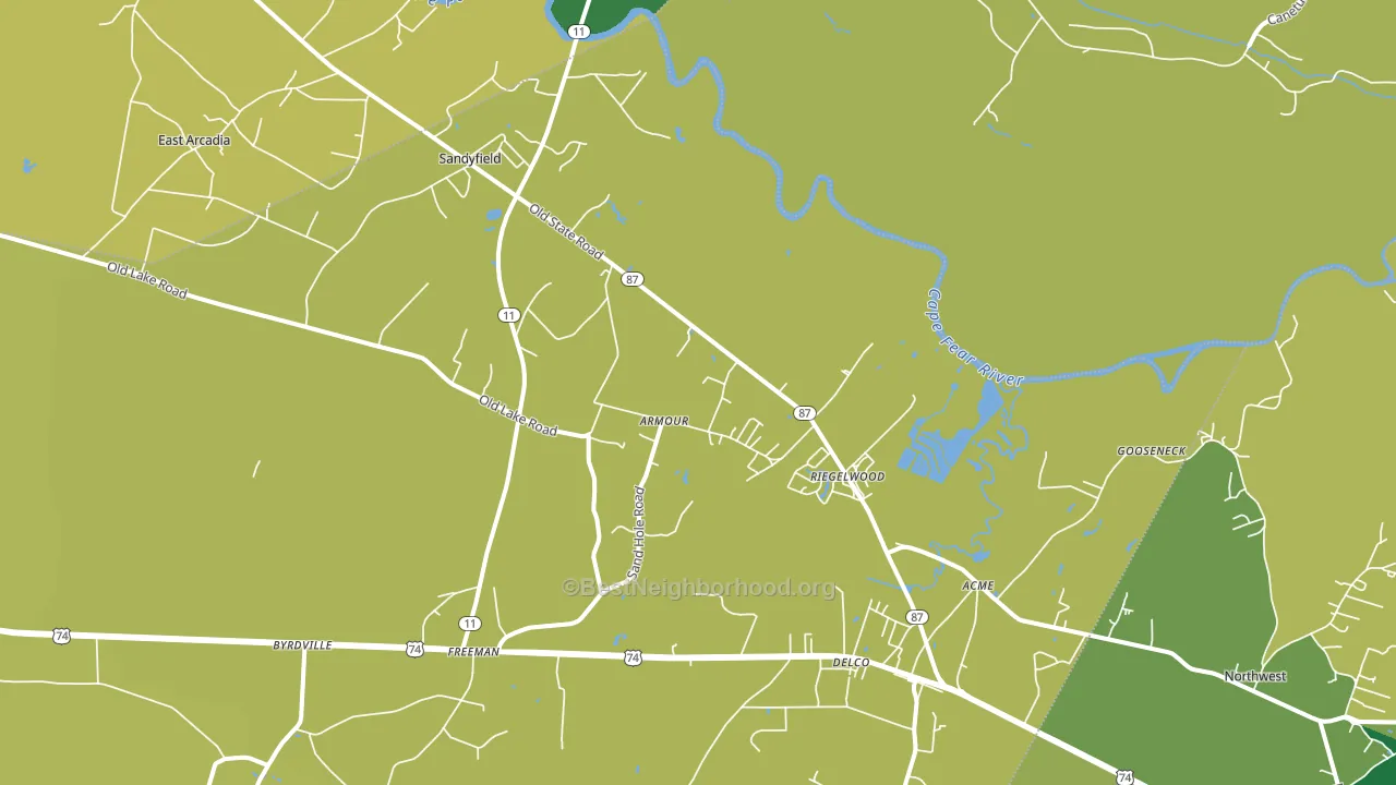 Riegelwood, NC block-group voter-turnout map