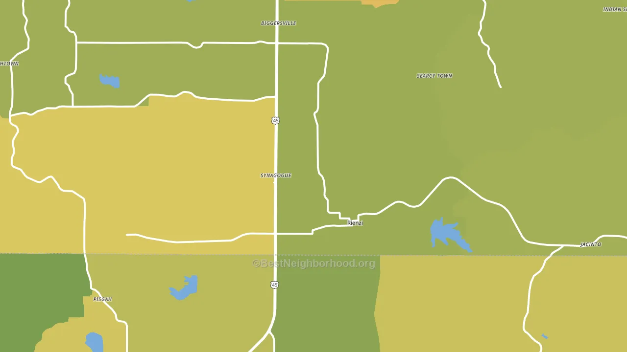 Rienzi, MS block-group voter-turnout map