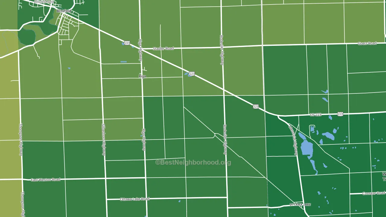 Riga, MI block-group voter-turnout map
