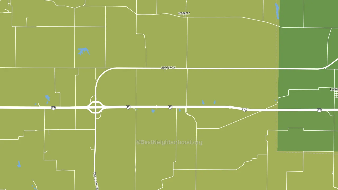 Riggston, IL block-group voter-turnout map