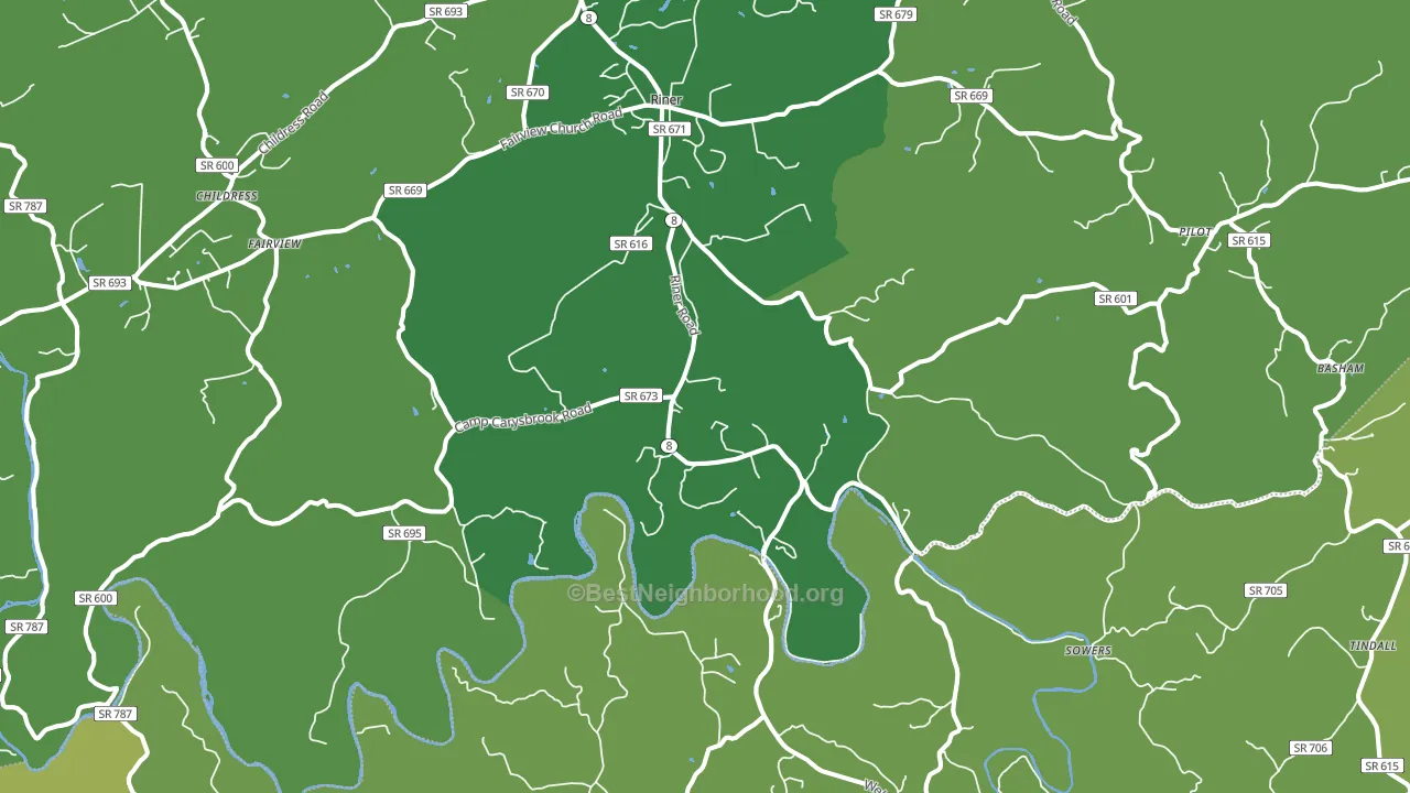 Riner, VA block-group voter-turnout map