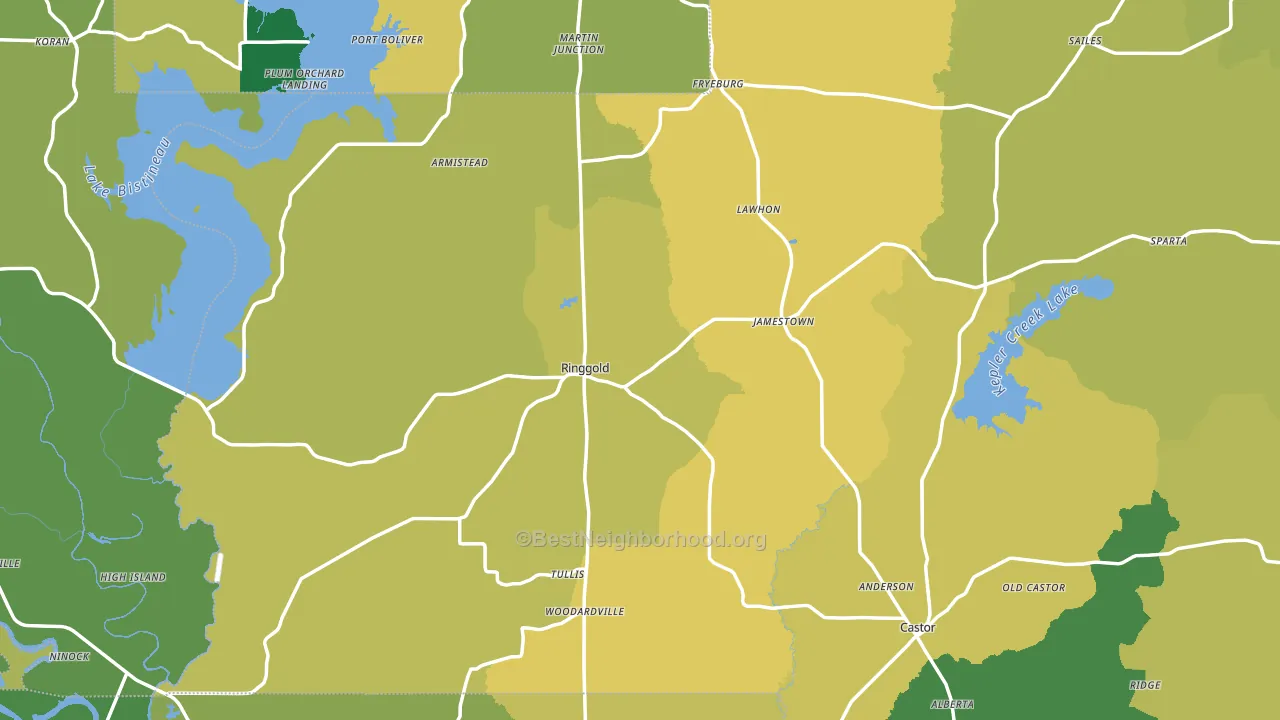 Ringgold, LA block-group voter-turnout map