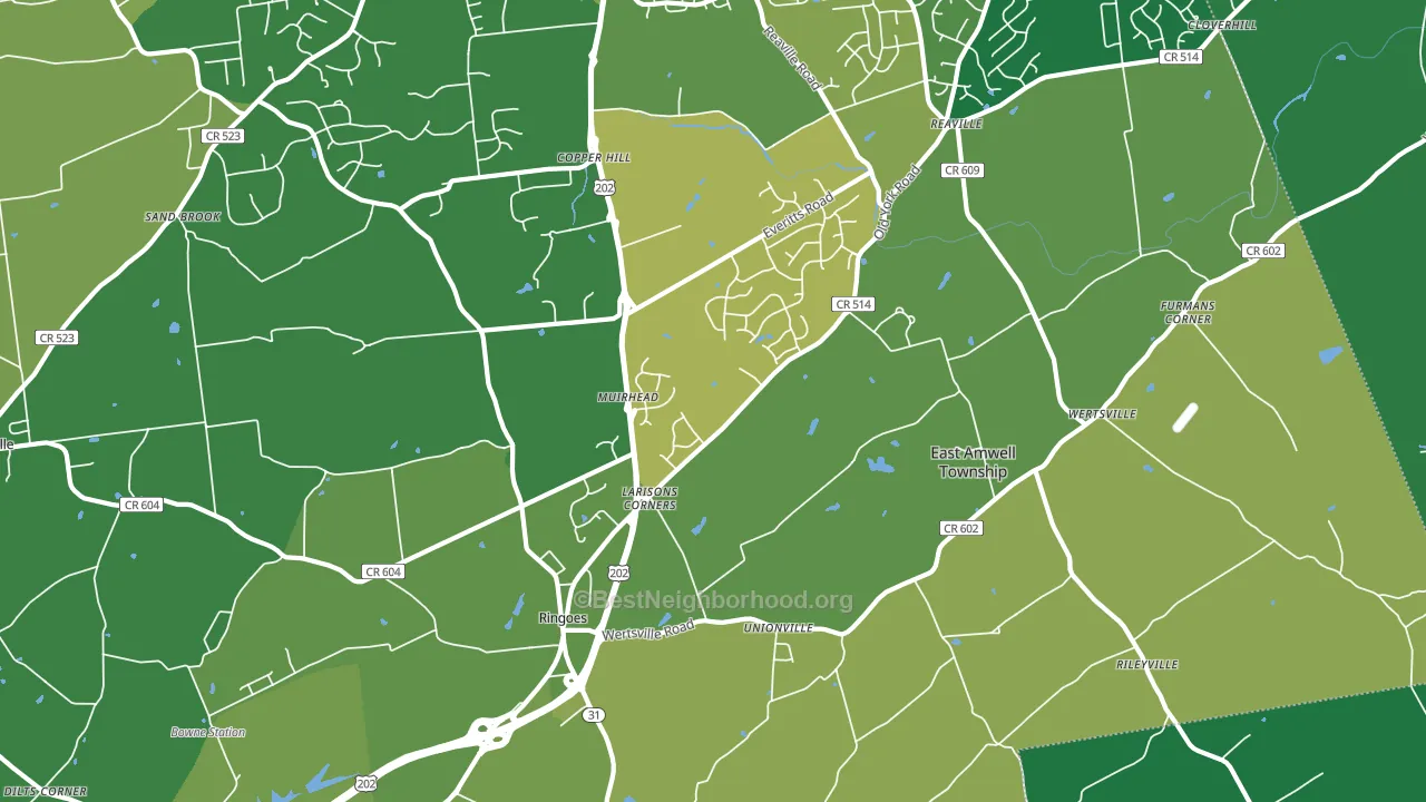 Ringoes, NJ block-group voter-turnout map