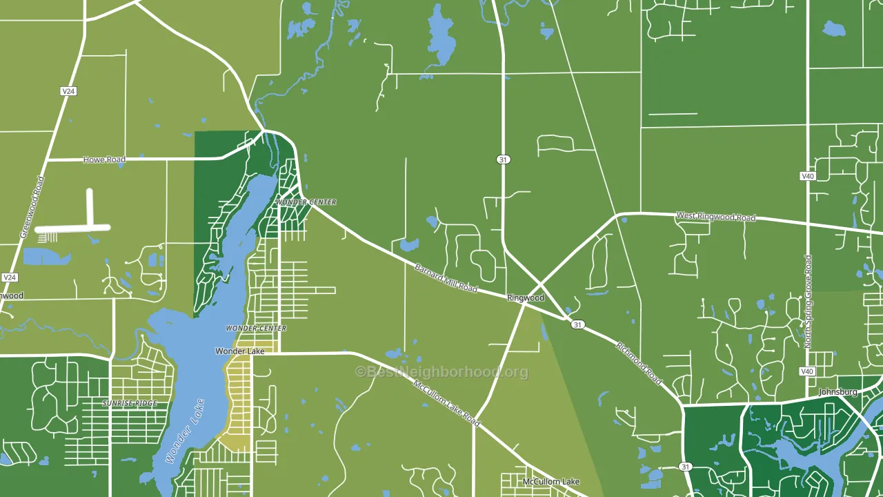 Ringwood, IL block-group voter-turnout map