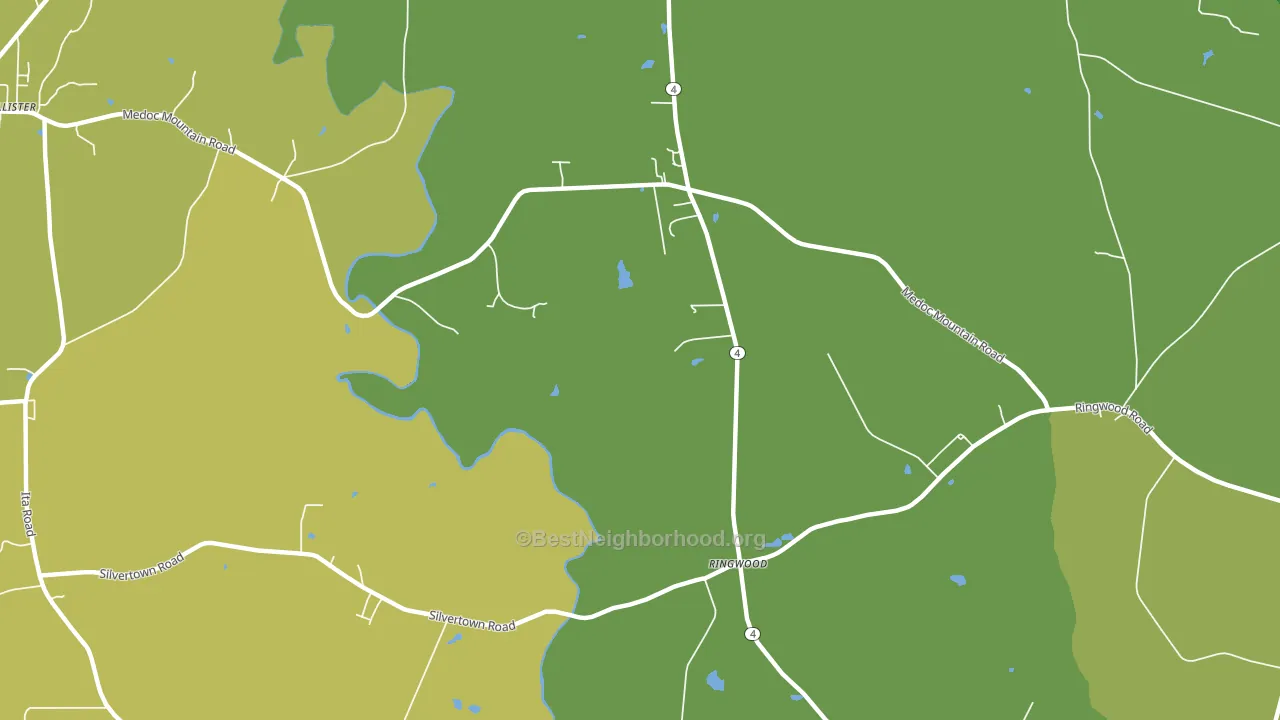 Ringwood, NC block-group voter-turnout map