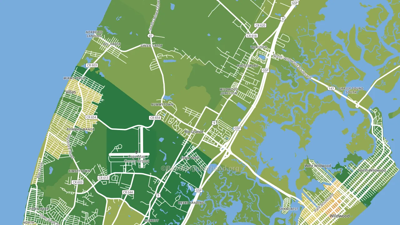 Rio Grande, NJ block-group voter-turnout map