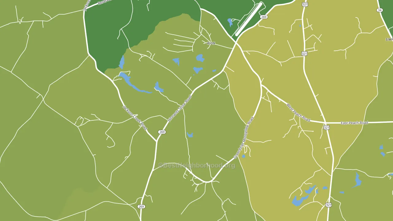 Rion, SC block-group voter-turnout map