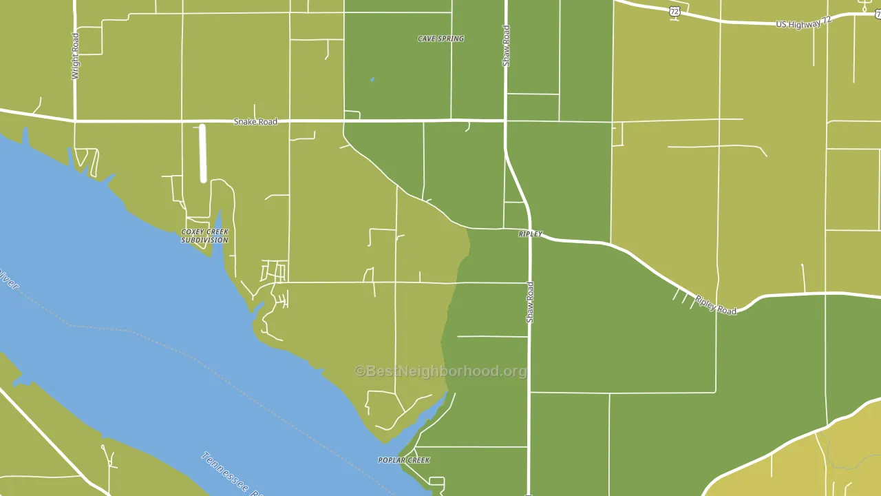 Ripley, AL block-group voter-turnout map