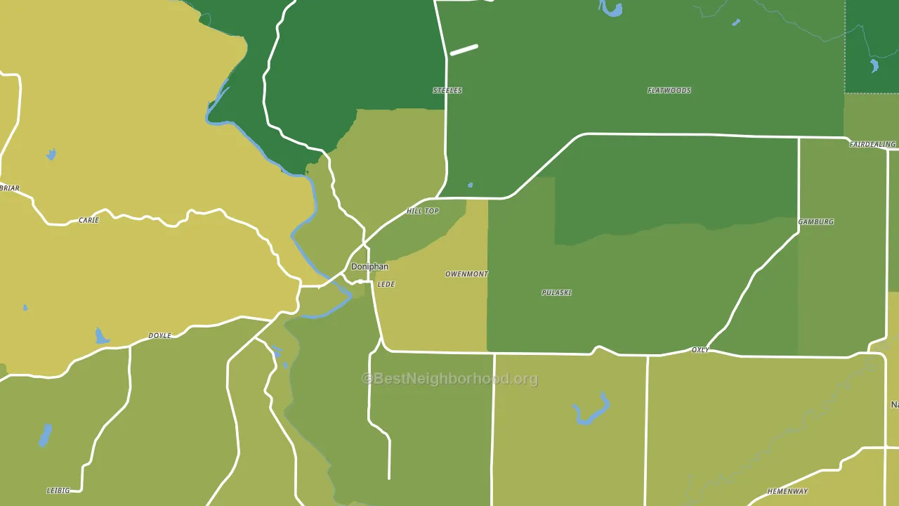 Ripley County, MO block-group voter-turnout map