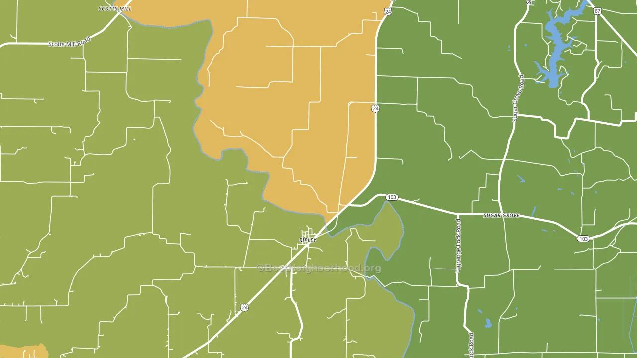 Ripley, IL block-group voter-turnout map
