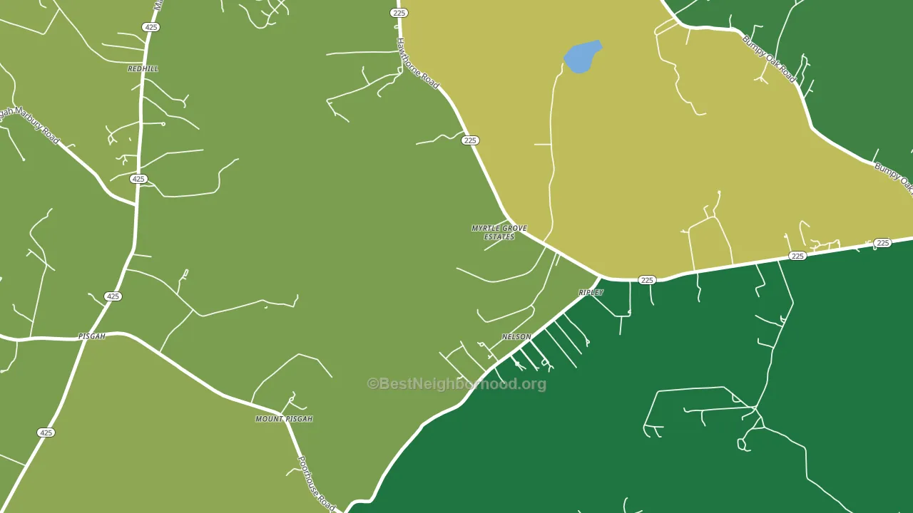 Ripley, MD block-group voter-turnout map