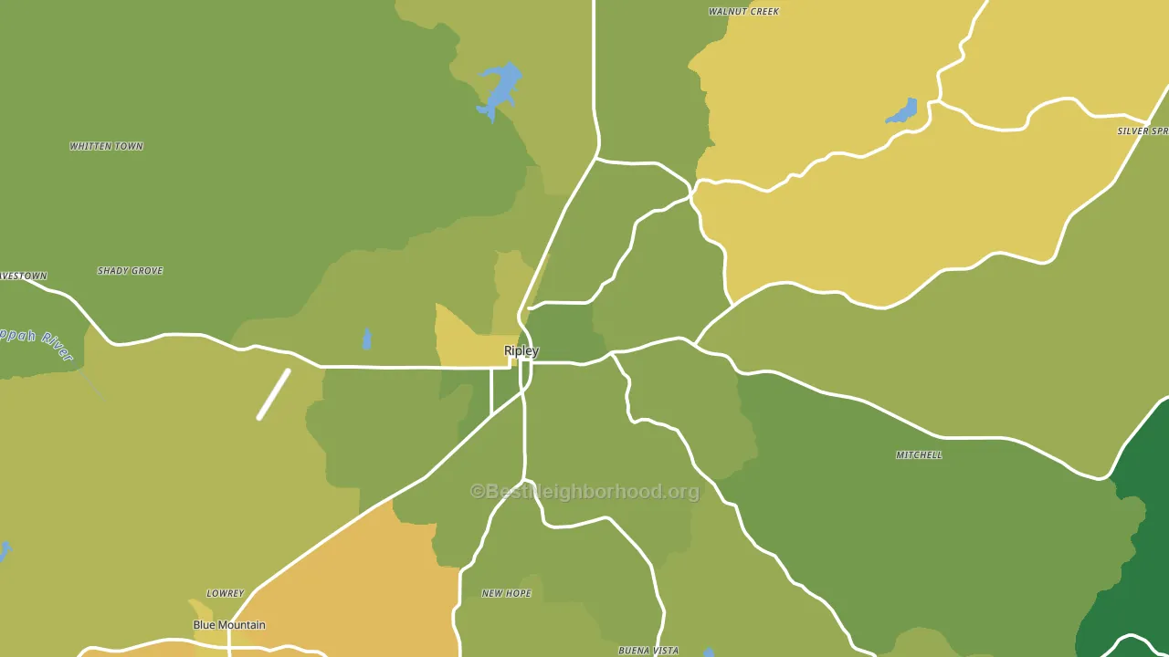 Ripley, MS block-group voter-turnout map