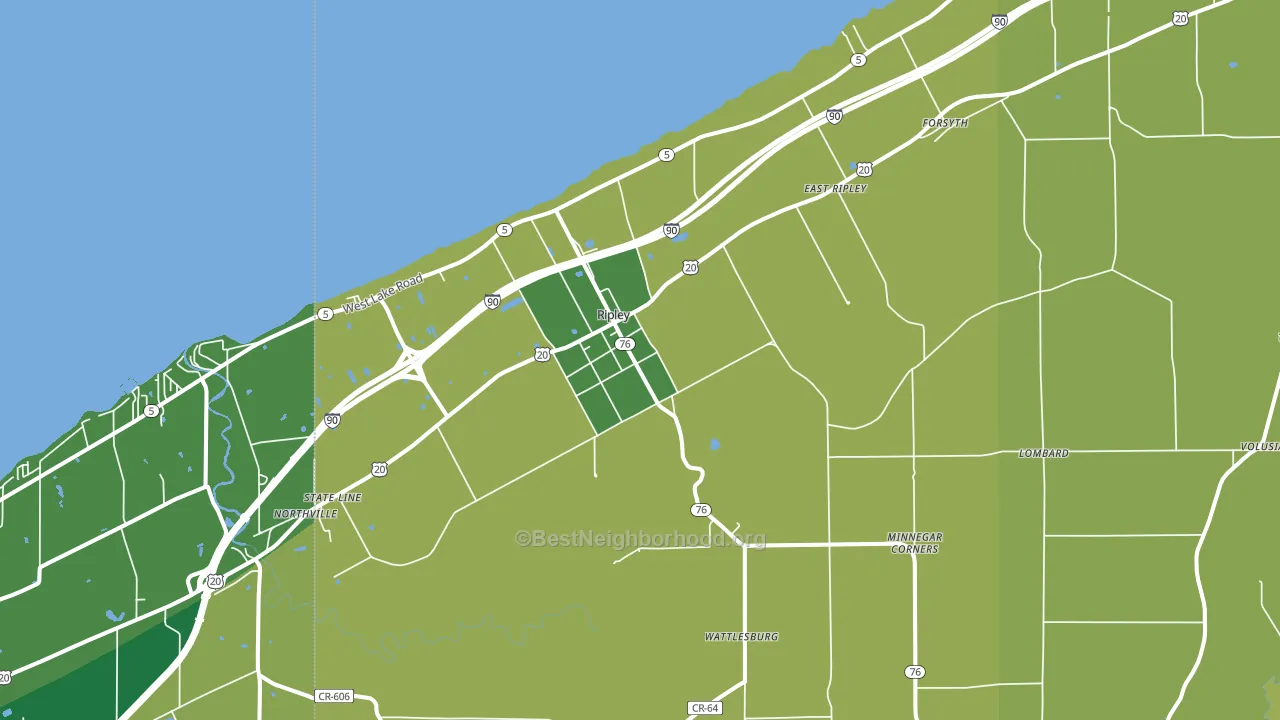 Ripley, NY block-group voter-turnout map