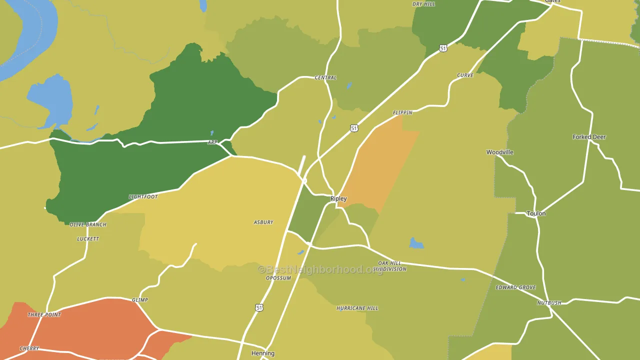 Ripley, TN block-group voter-turnout map