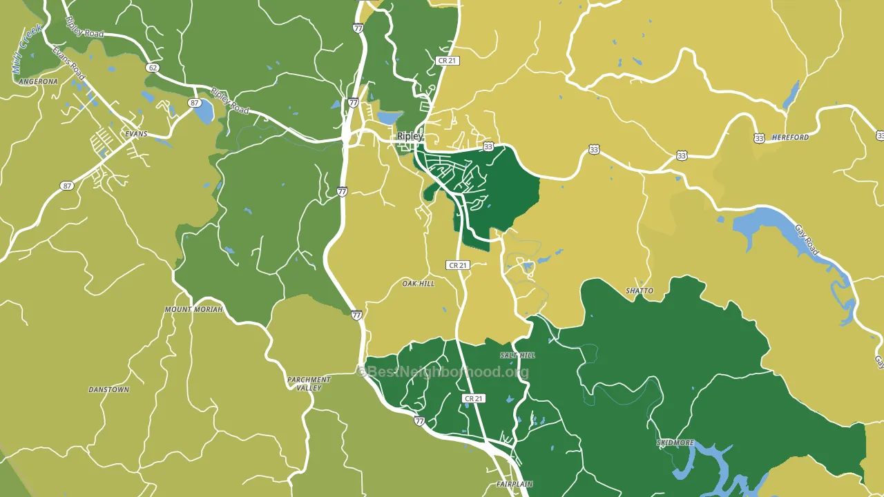 Ripley, WV block-group voter-turnout map