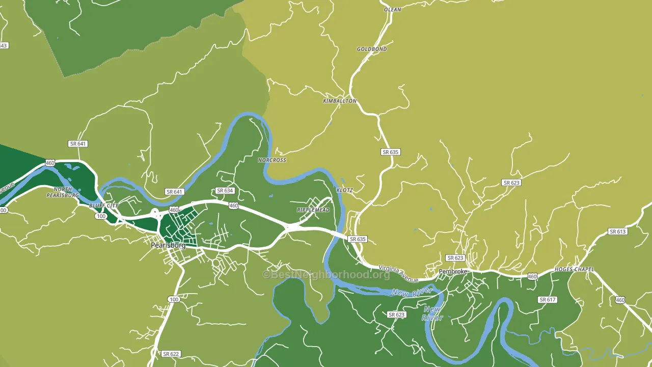 Ripplemead, VA block-group voter-turnout map