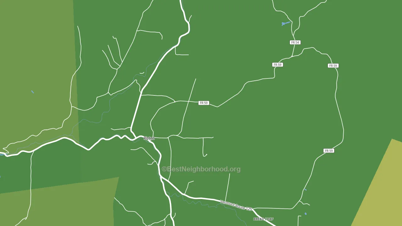Ripton, VT block-group voter-turnout map