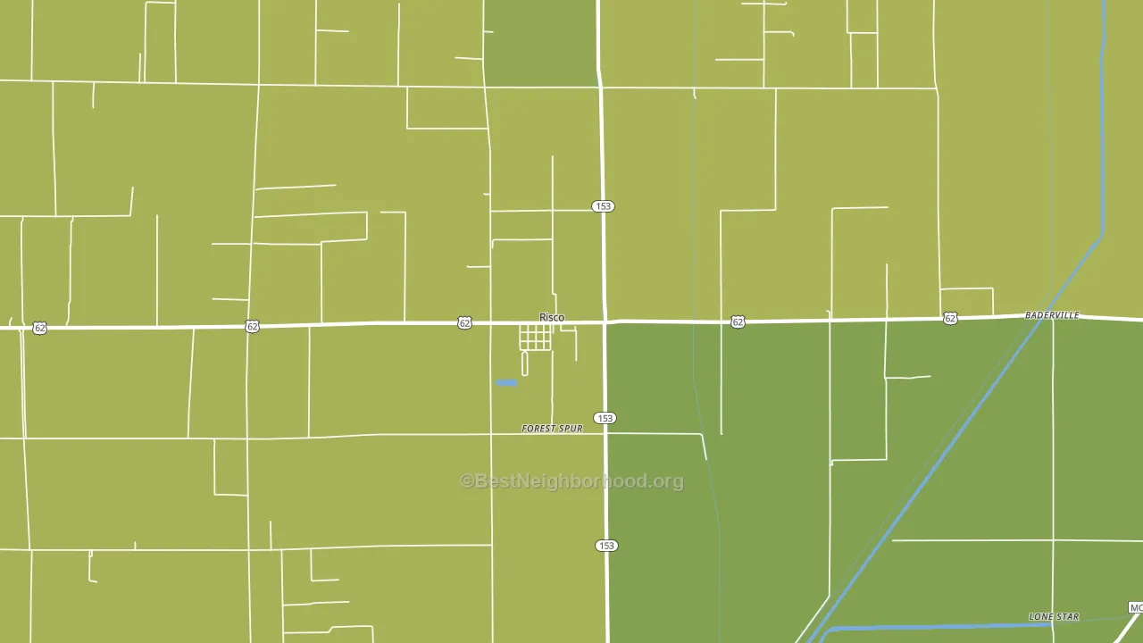 Risco, MO block-group voter-turnout map