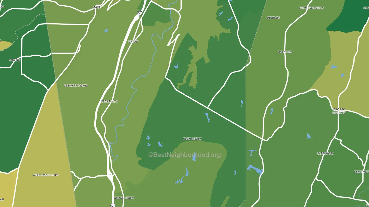 Rising Fawn, GA block-group voter-turnout map