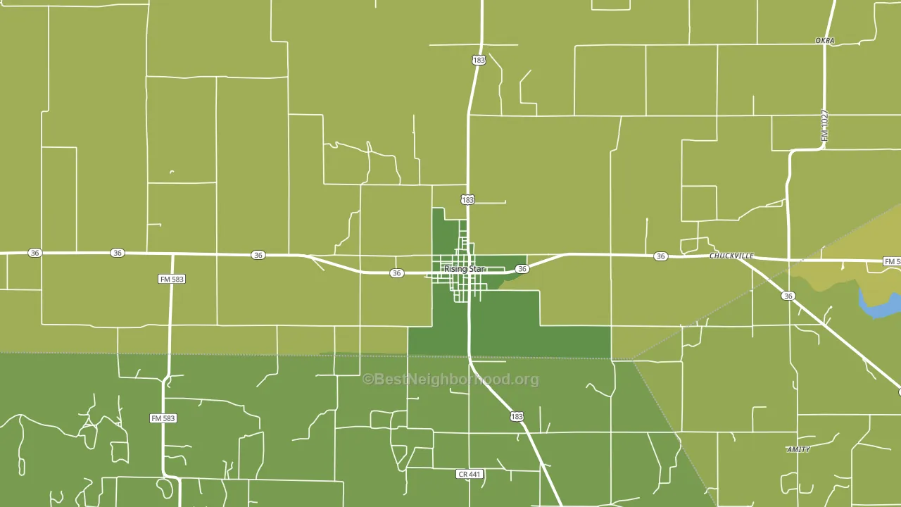 Rising Star, TX block-group voter-turnout map