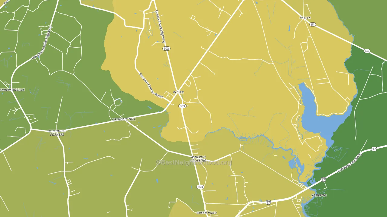 Ritter, SC block-group voter-turnout map