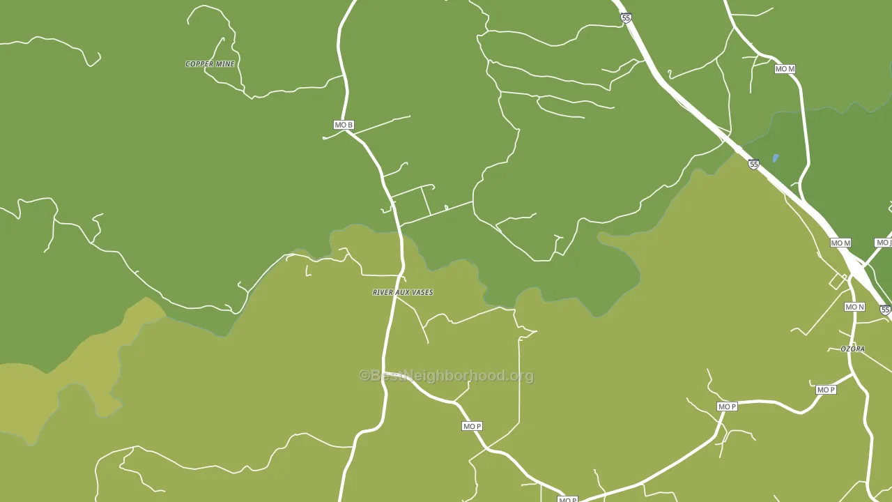 River aux Vases, MO block-group voter-turnout map