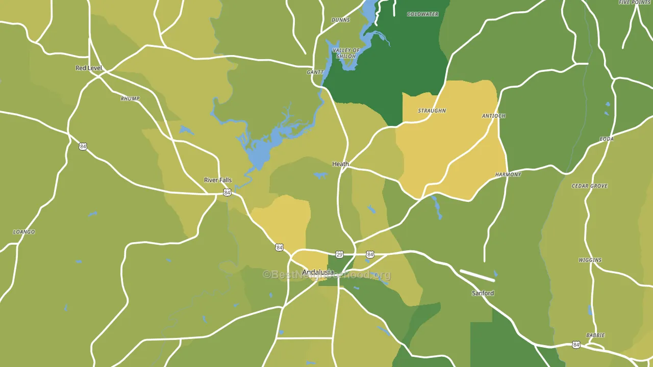 River Falls, AL block-group voter-turnout map
