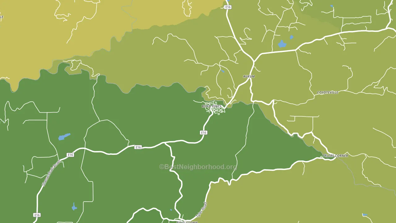 River Pines, CA block-group voter-turnout map