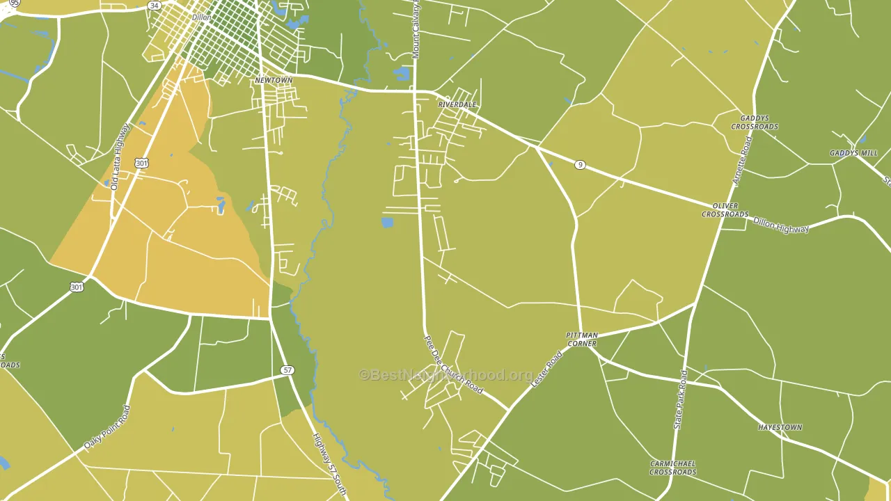 Riverdale, SC block-group voter-turnout map
