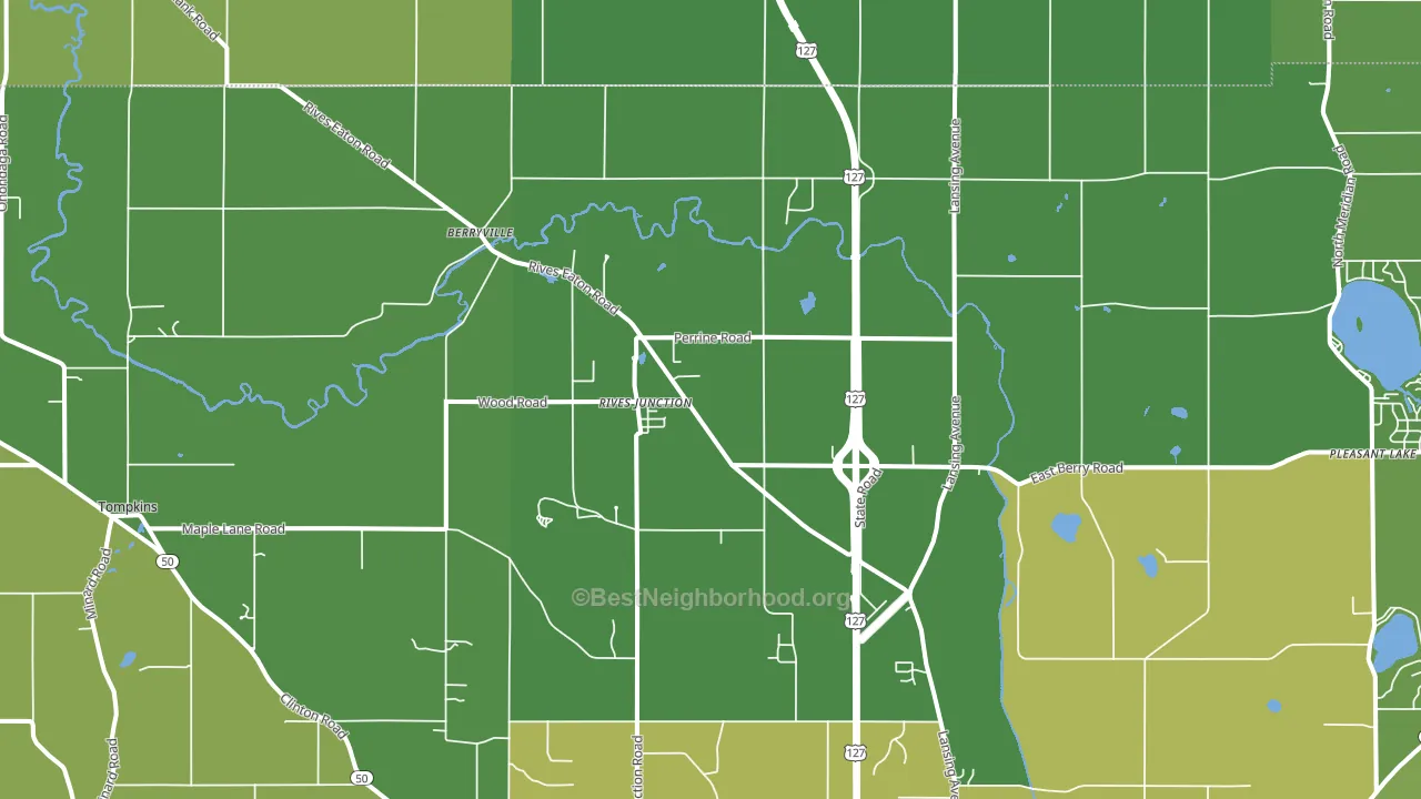 Rives Junction, MI block-group voter-turnout map