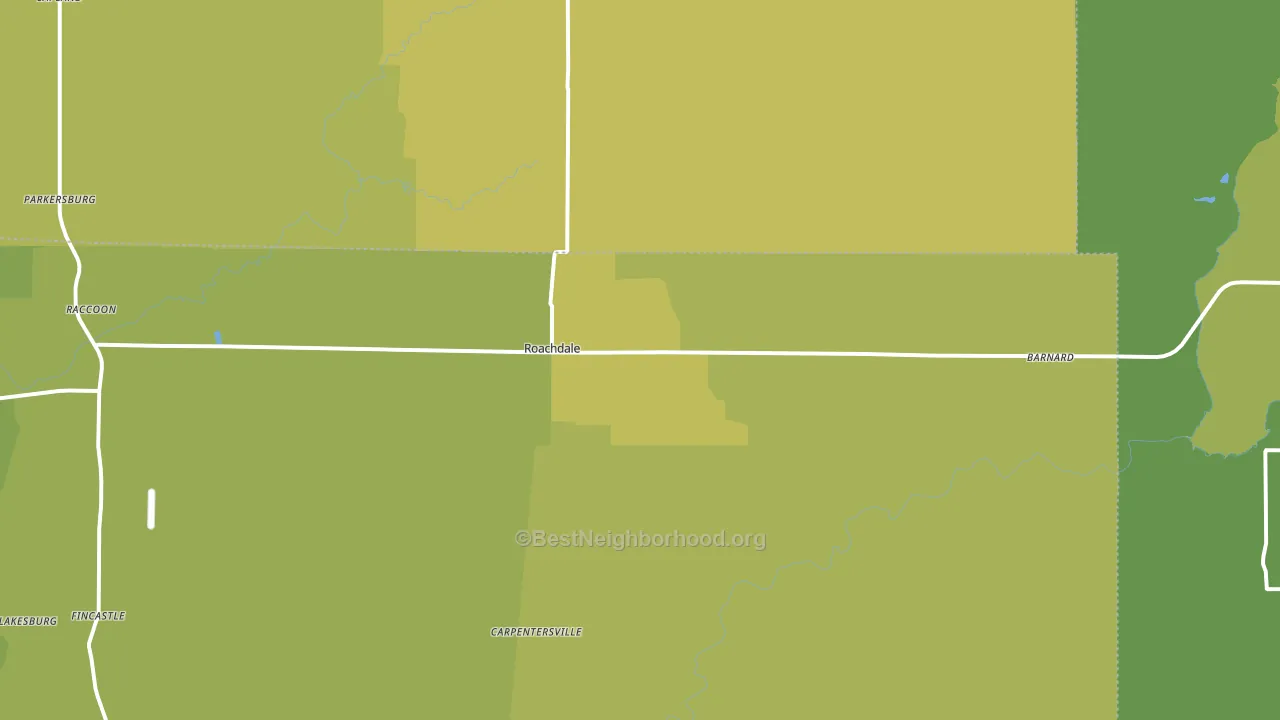 Roachdale, IN block-group voter-turnout map