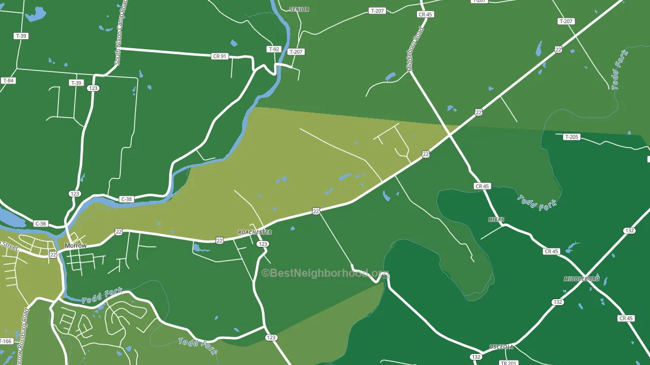 Roachester, OH block-group voter-turnout map