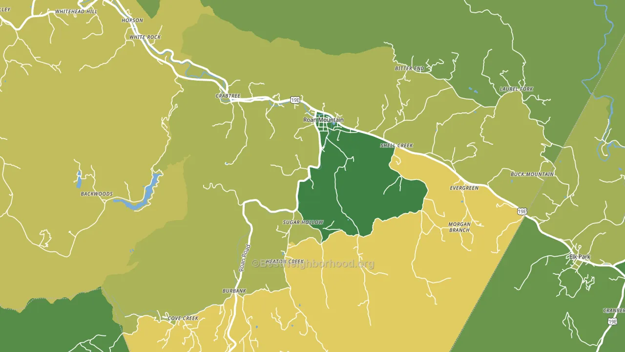 Roan Mountain, TN block-group voter-turnout map