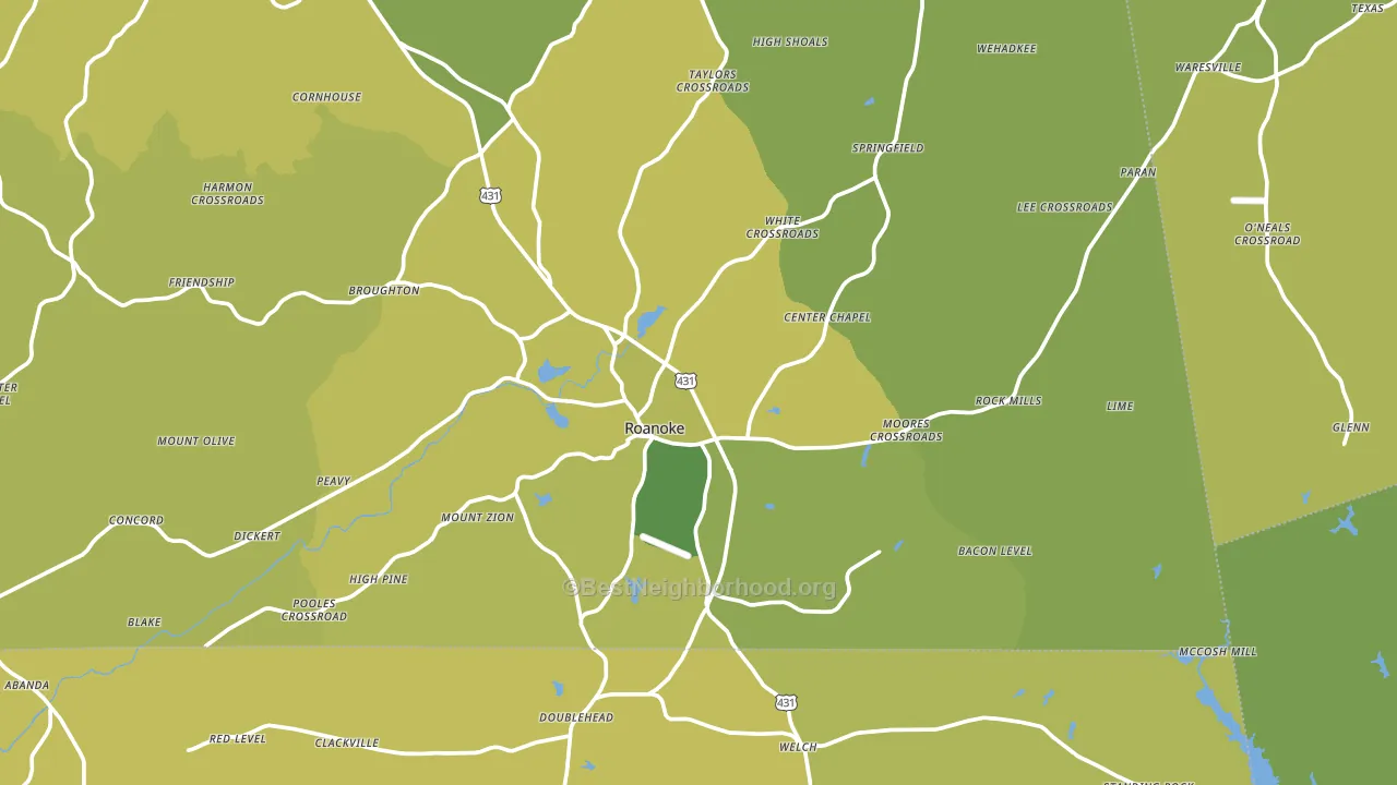 Roanoke, AL block-group voter-turnout map