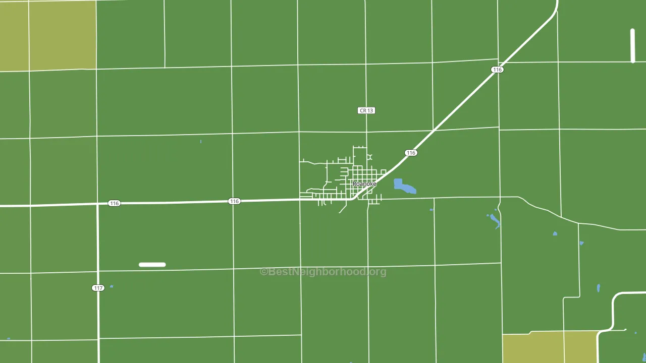 Roanoke, IL block-group voter-turnout map