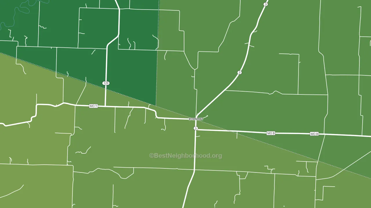 Roanoke, MO block-group voter-turnout map