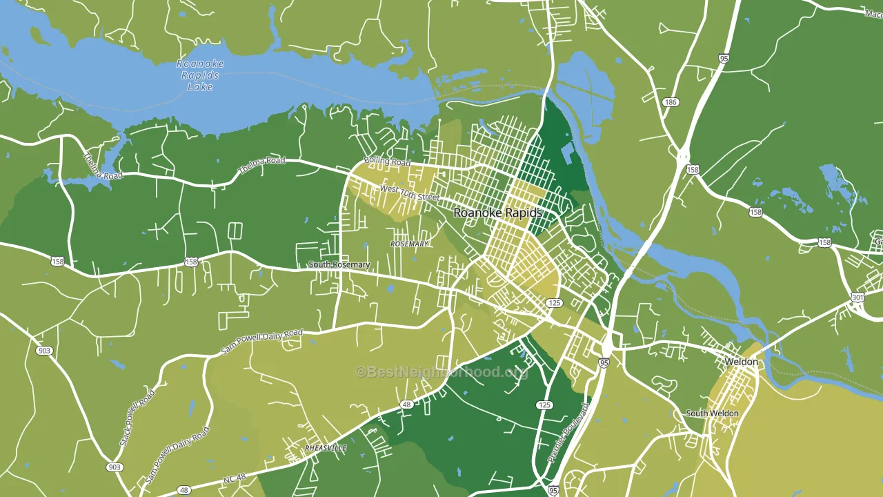 Roanoke Rapids, NC block-group voter-turnout map