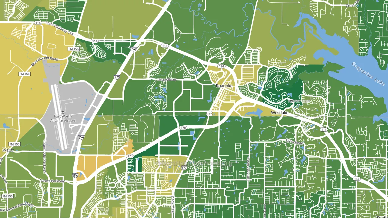 Roanoke, TX block-group voter-turnout map