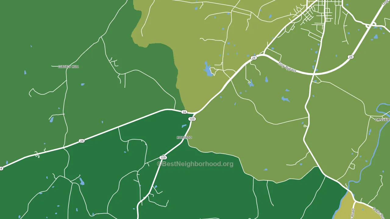 Roberdo, NC block-group voter-turnout map