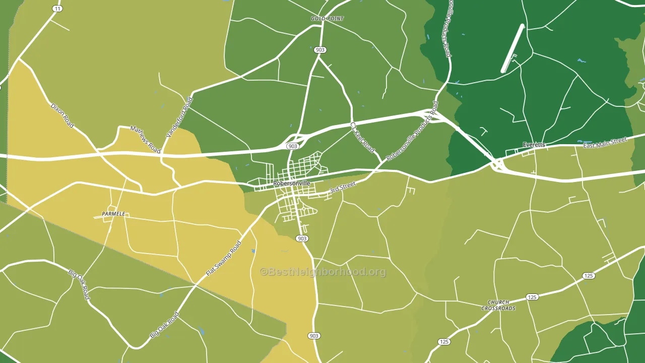 Robersonville, NC block-group voter-turnout map