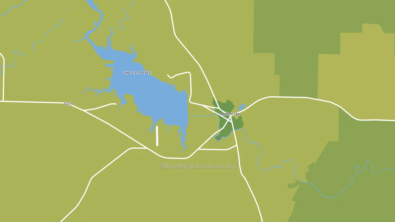 Robert Lee, TX block-group voter-turnout map