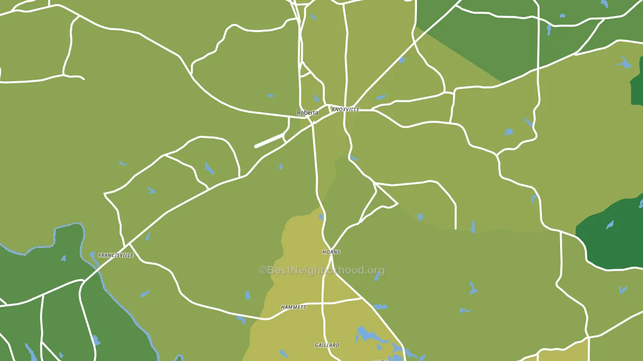 Roberta, GA block-group voter-turnout map