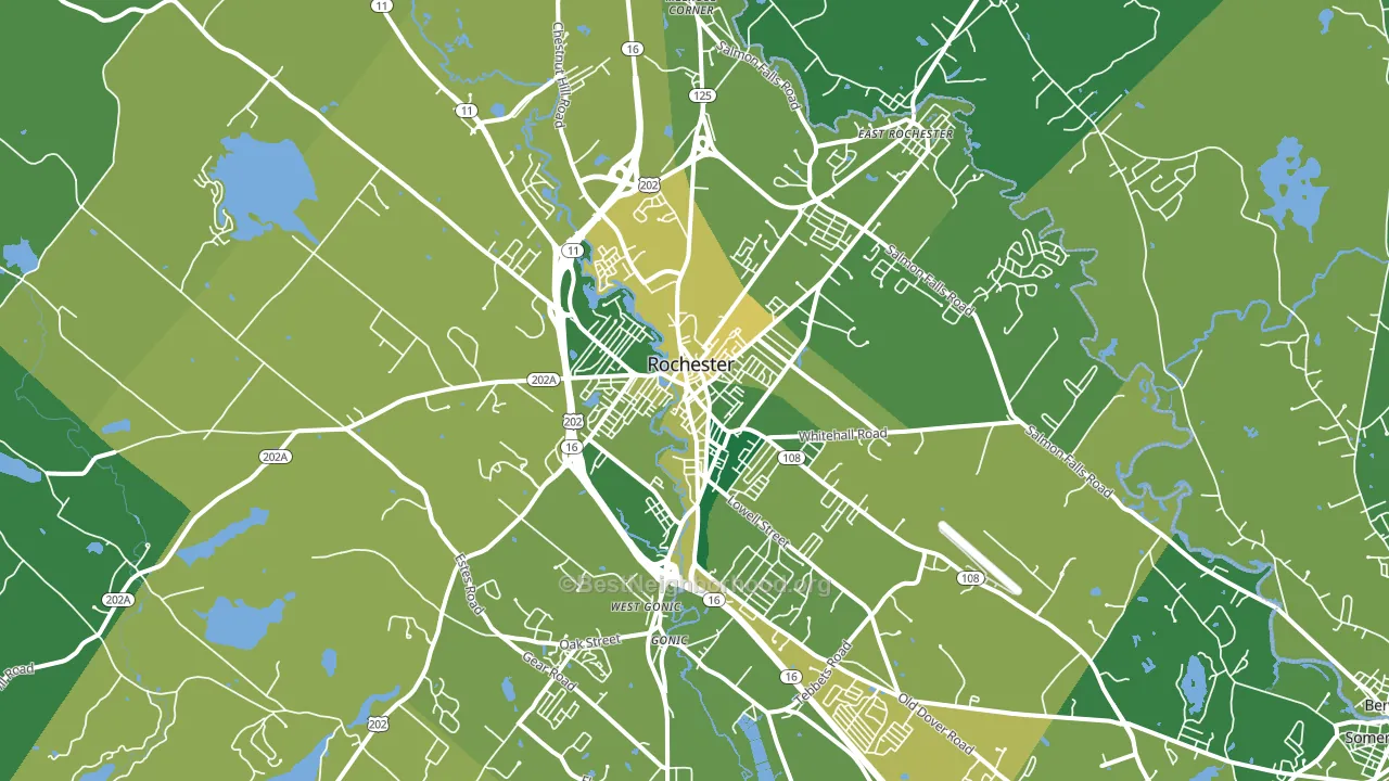 Rochester, NH block-group voter-turnout map