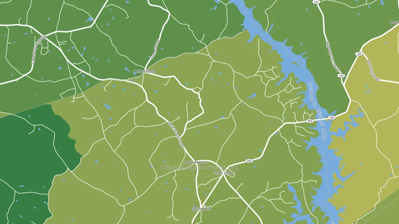Rock Branch, GA block-group voter-turnout map